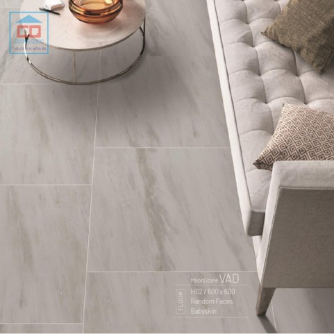 Gạch Eurotile 60x60 VAD-H02