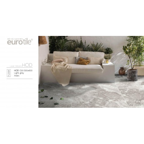 Gạch Euro Tile 30x60 HOD_G01