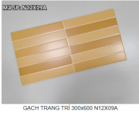 GẠCH TRANG TRÍ 300x600 N12X09A