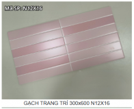 GẠCH TRANG TRÍ 300x600 N12X16
