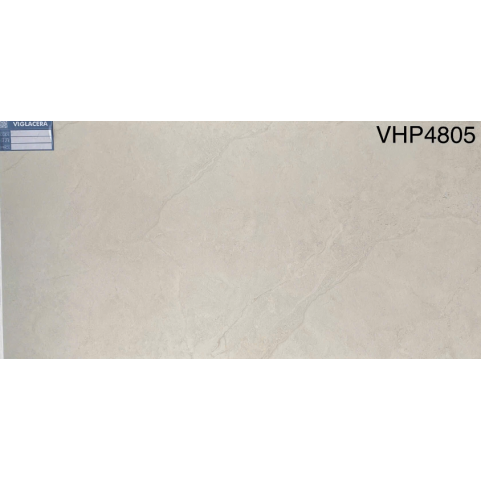Gạch Viglacera 40x80 VHP4805