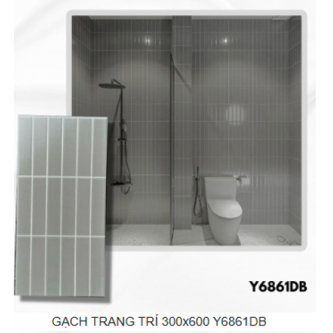 GẠCH TRANG TRÍ 300x600 Y6861DB