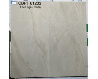 Gạch ốp lát 60x120 Viglacera CB-PT61203