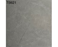  Đá Granite viglacera 60x60 TM621