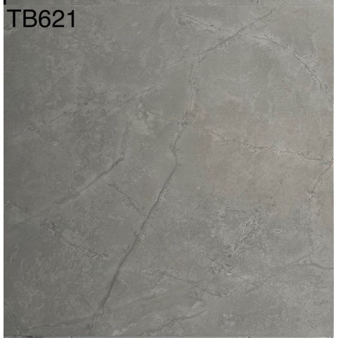  Đá Granite viglacera 60x60 TM621