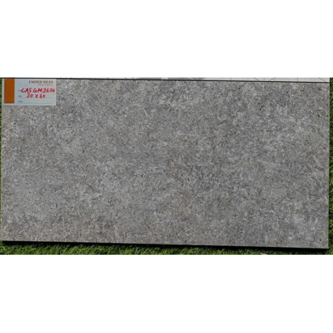 Gạch 30x60 Viglacera  CA5 GM3604 bề mặt mờ