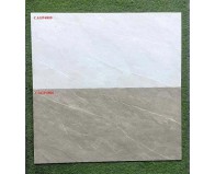 Bộ Gạch Bóng 40x80 CAGP4805