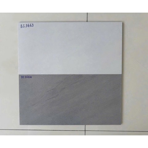 Gạch bán sứ Viglacera 30×60 BS3663