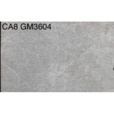 Gạch ốp tường 30×60 Viglacera CA8GM3604