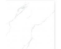 Nhãn Hiệu Golden Tile  G6055