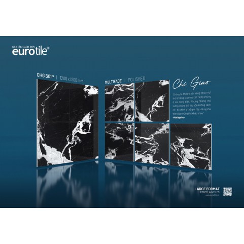 Gạch Euro Tile  CHG S01P