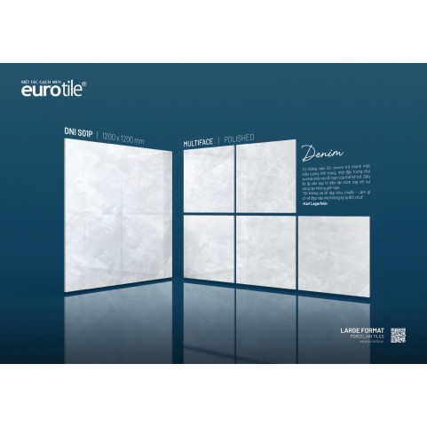 Gạch Euro Tile DNI S01P