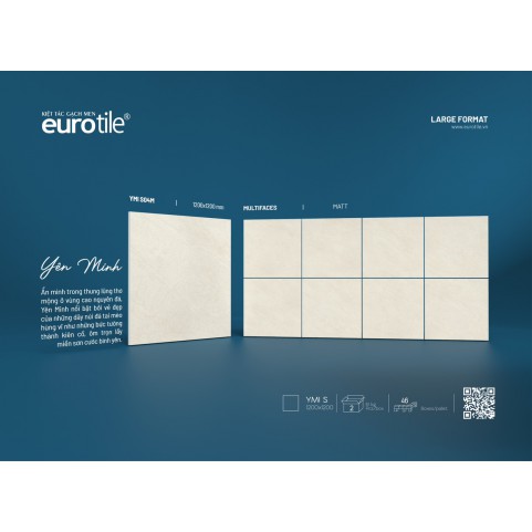 Gạch Euro Tile YMI S04M