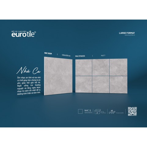 Gạch Euro tile NHC S02M