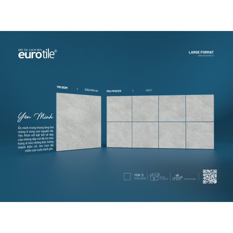 Gạch Euro Tile YMI S02M