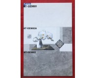 Gạch men Viglacera 30x60 KT-CE3602