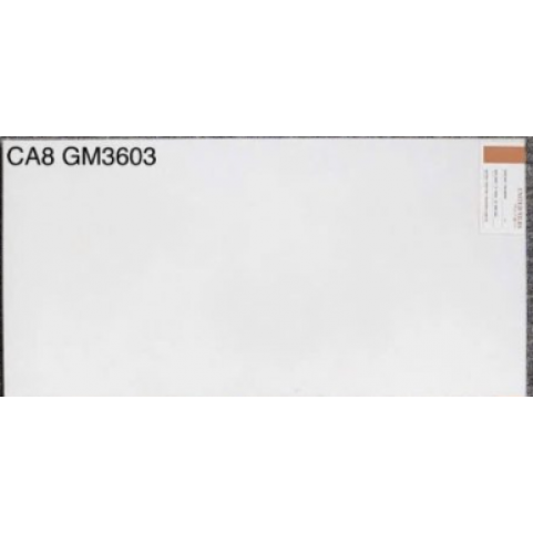 Gạch ốp tường 30×60 Viglacera CA8GM3603