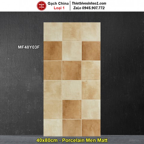 Gạch Ốp Trang Trí 40x80 Trung Quốc MF48Y03F