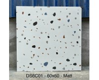 Gạch Terrazzo 60x60 DS6C01