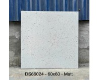 Gạch Terrazzo 60x60 DS66024